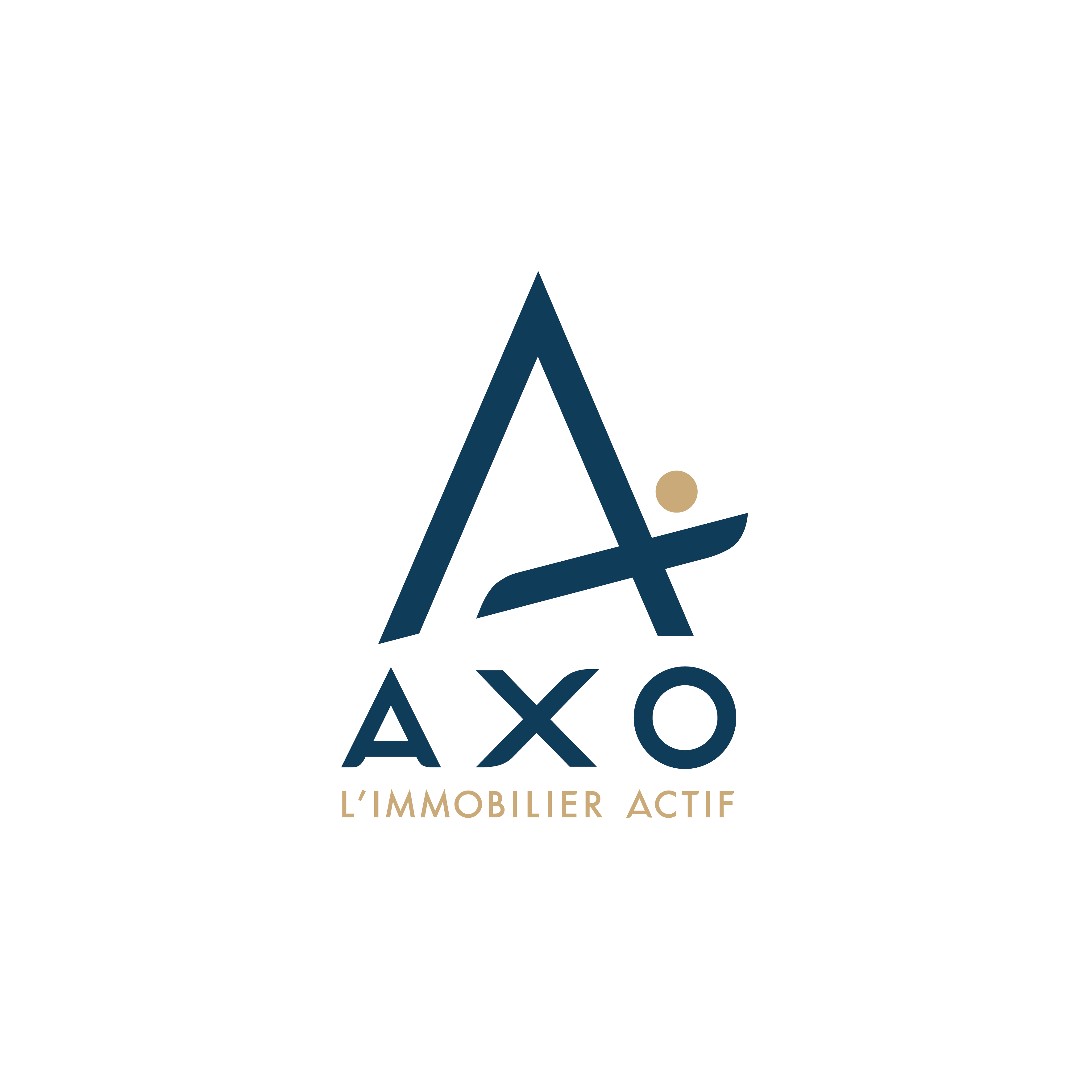 AXO L immobilier Actif Aurore TISSOT Sauxillanges Avis